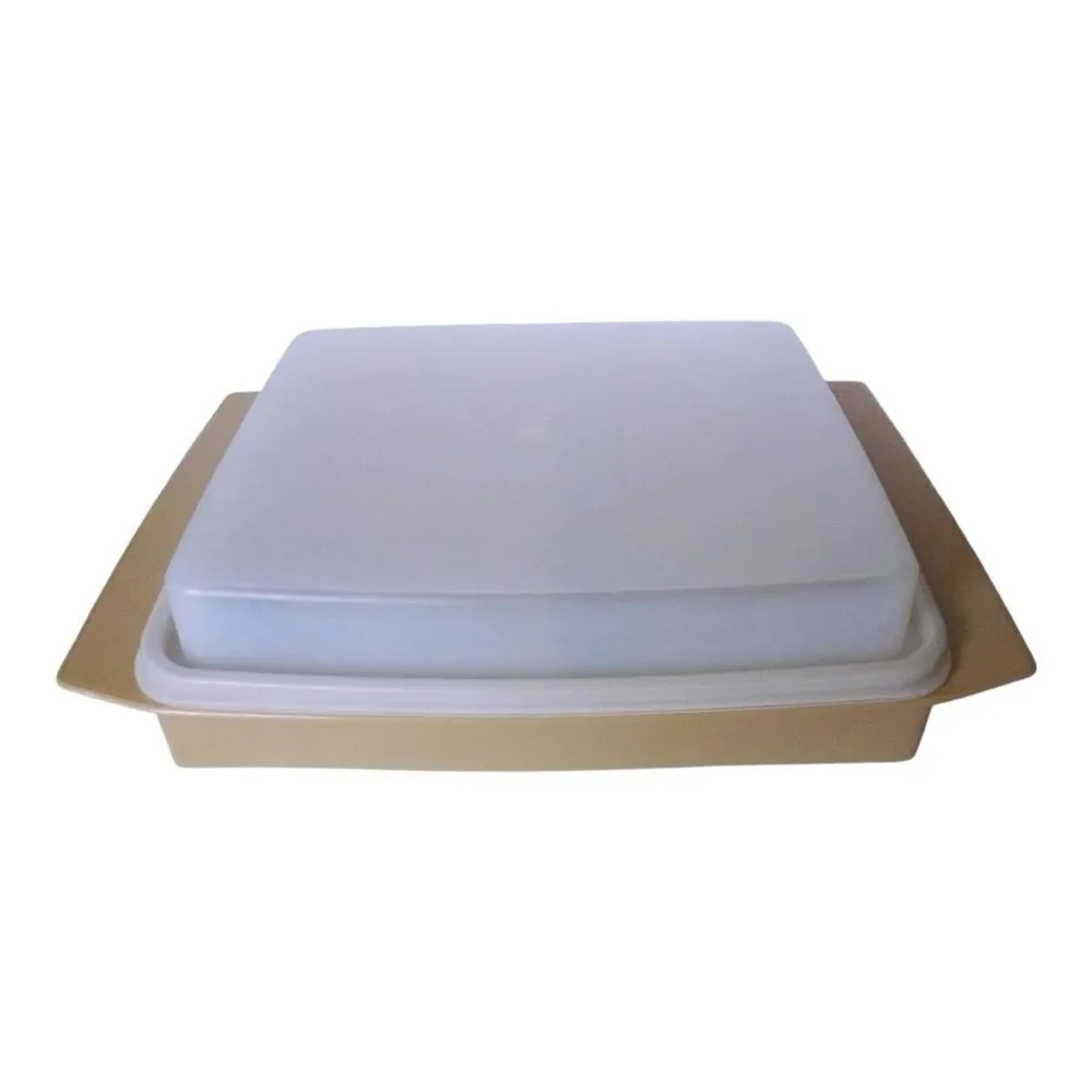 Tupperware Divided Tray Almond Color With Clear Lid - 9